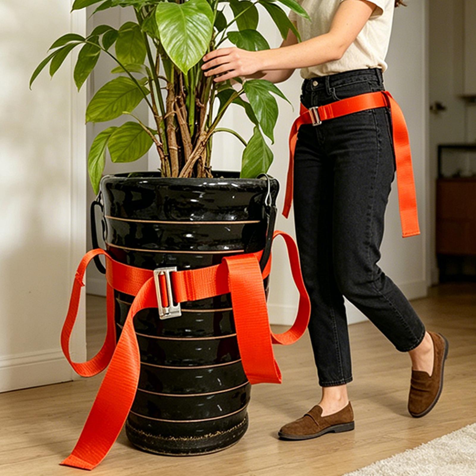 Ремень для перемещения растени – обзор и цена Lifting Belt